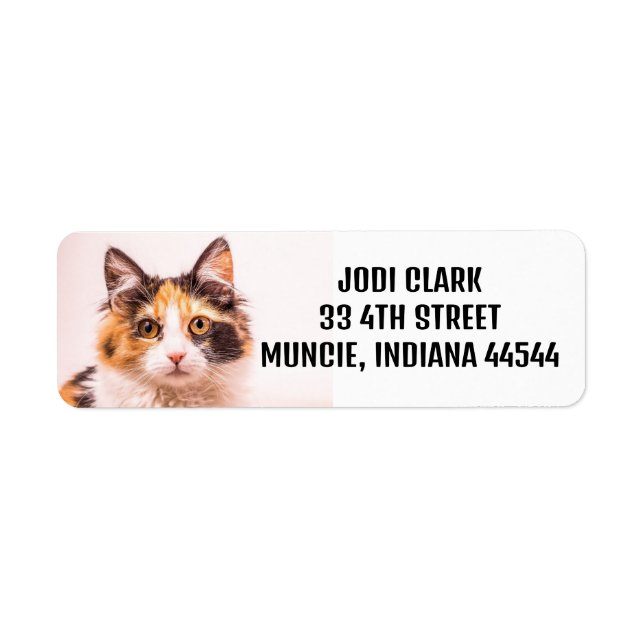 CALICO CAT NIEDLICHE RÜCKSENDEADRESSEN-AUFKLEBER (Vorne)
