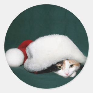 Calico cat Père Noël autocollant