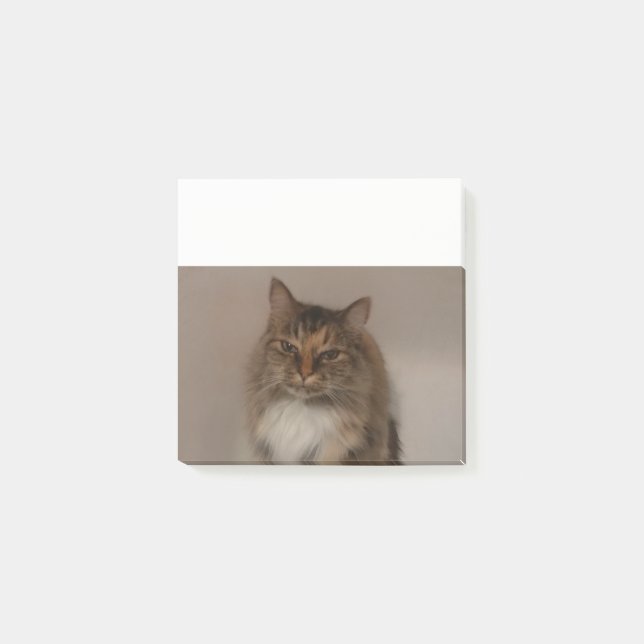 Calico Cat Post it Notes Post-it Klebezettel (Vorderseite)