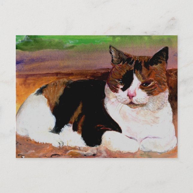 Calico Cat Postkarte (Vorderseite)