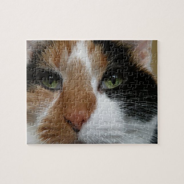 Calico Cat Puzzle (Horizontal)