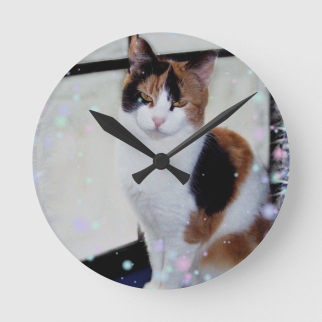Calico Cat Runde Wanduhr (Vorderseite)