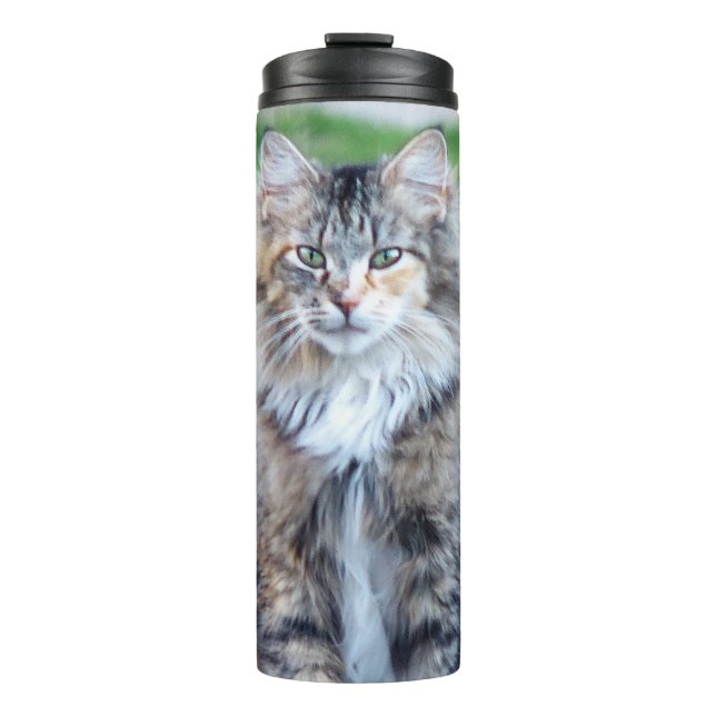 Calico Cat Thermosbecher (Vorderseite)