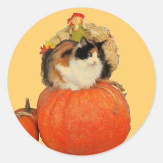 Calico Cat und Scarecrow auf Pumpkins Runder Aufkleber