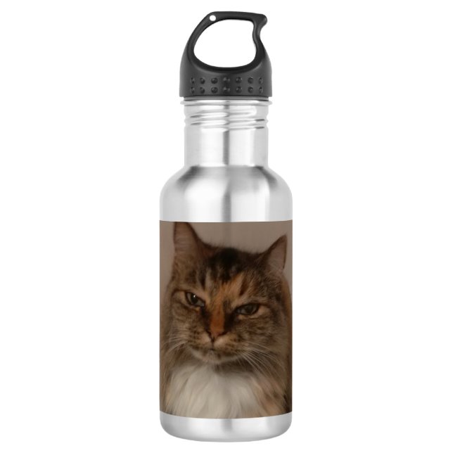 Calico Cat Water Flasche Trinkflasche (Vorderseite)