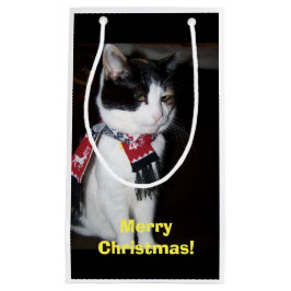 Calico Cat Wearing Scarf Geschenktasche Kleine Geschenktüte