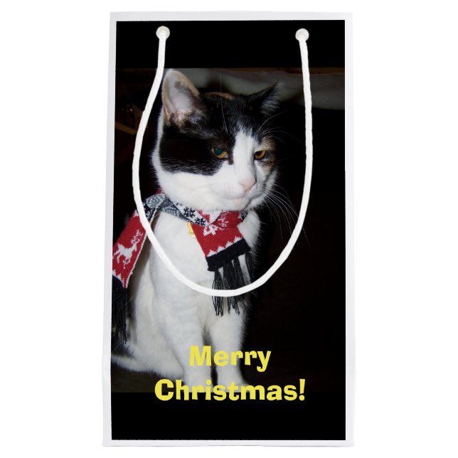 Calico Cat Wearing Scarf Geschenktasche Kleine Geschenktüte (Vorderseite)