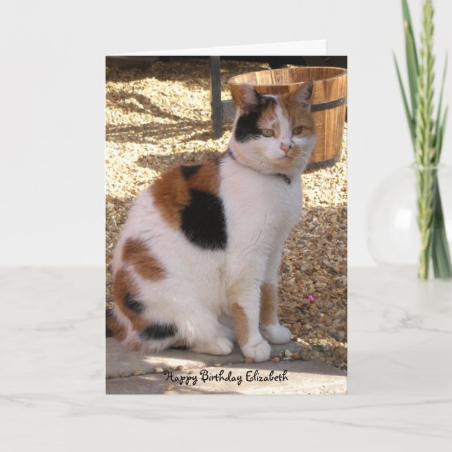 Calico chat assis dans le jardin Carte d'anniversa (Devant)