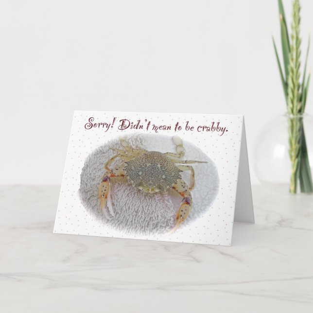 Calico Crab Sorry Card Karte (Vorderseite)