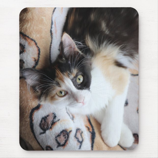 Calico Cricket Kitty Mousepad (Vorne)