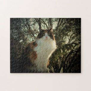 Calico et pine ou votre puzzle photo