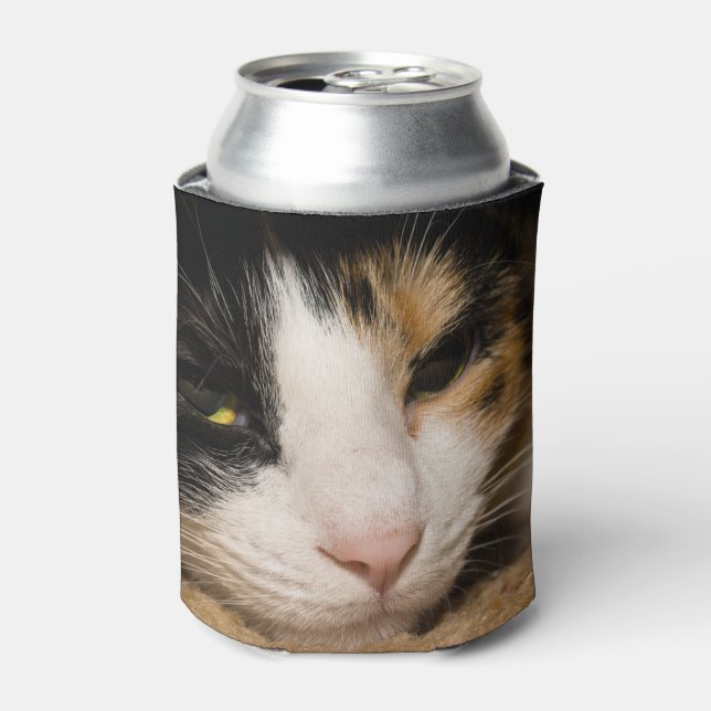 Calico Face Dosenkühler (Kanne Vorderseite)