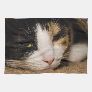 Calico Face Geschirrtuch