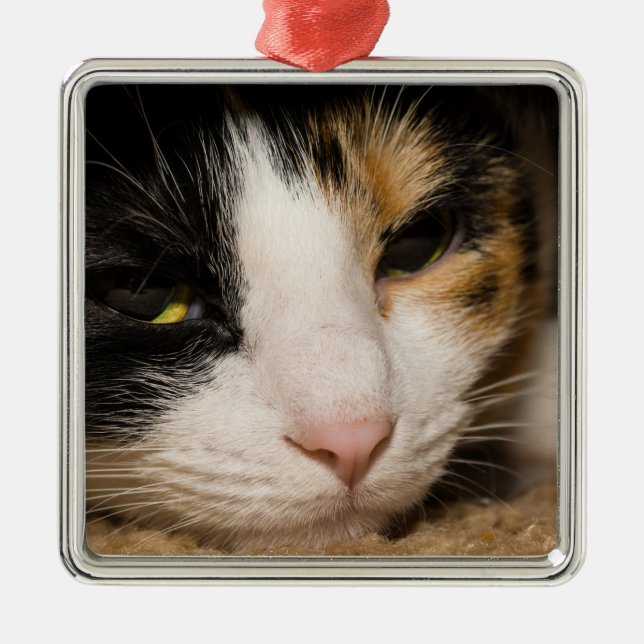 Calico Face Ornament Aus Metall (Vorne)