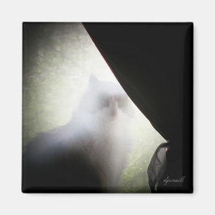 Calico Ghost Cat von djoneill Magnet