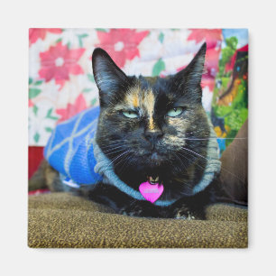 Calico I Magnet