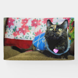 Calico II Banner