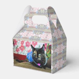 Calico III Geschenkschachtel