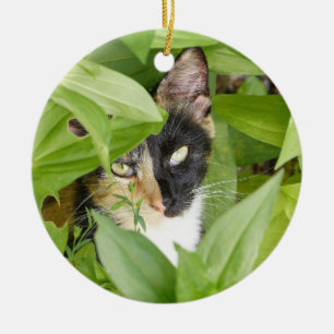 Calico Katze in den Zinnien Keramik Ornament