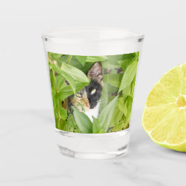 Calico Katze in den Zinnien Schnapsglas