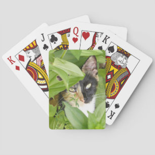Calico Katze in den Zinnien Spielkarten