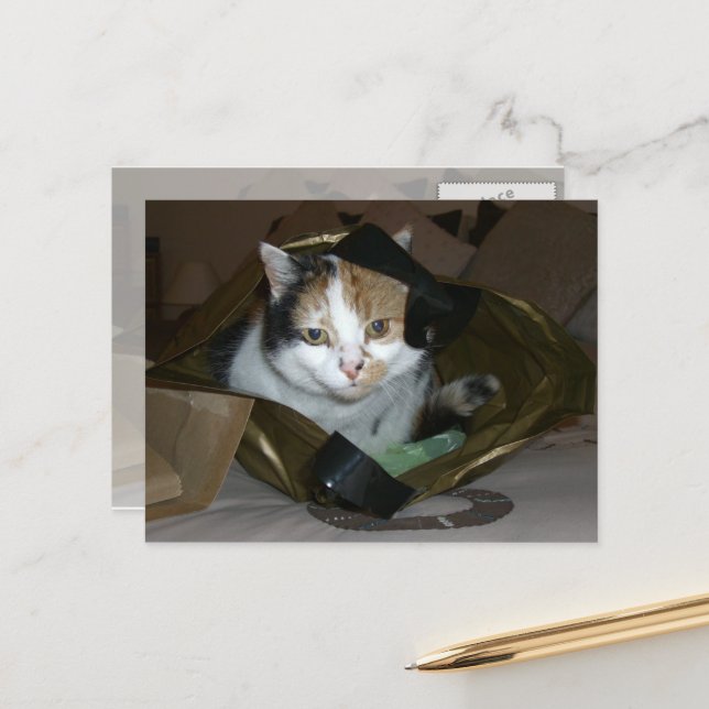 Calico-Katze in einem Einkaufstasche Postkarte (Vorderseite/Rückseite Beispiel)
