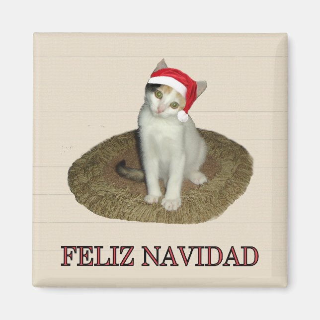 Calico Kitten Feliz Navidad Magnet (Vorne)