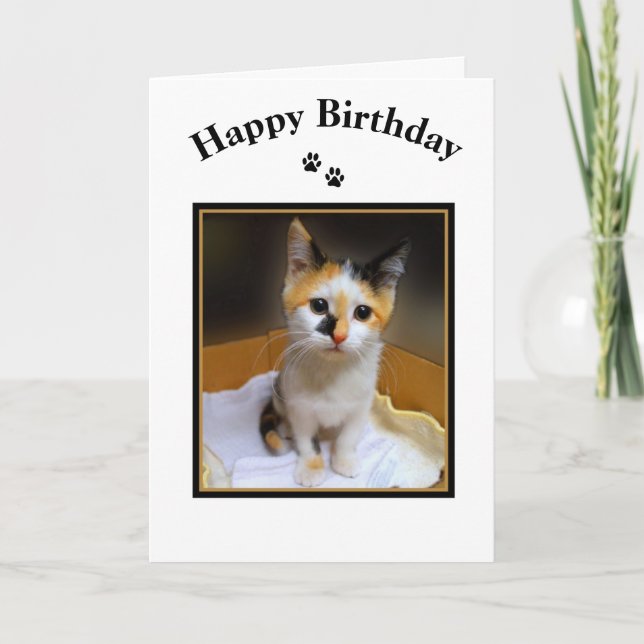 Calico Kitten Happy Birthday Karte (Vorderseite)
