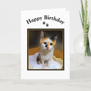 Calico Kitten Happy Birthday Karte