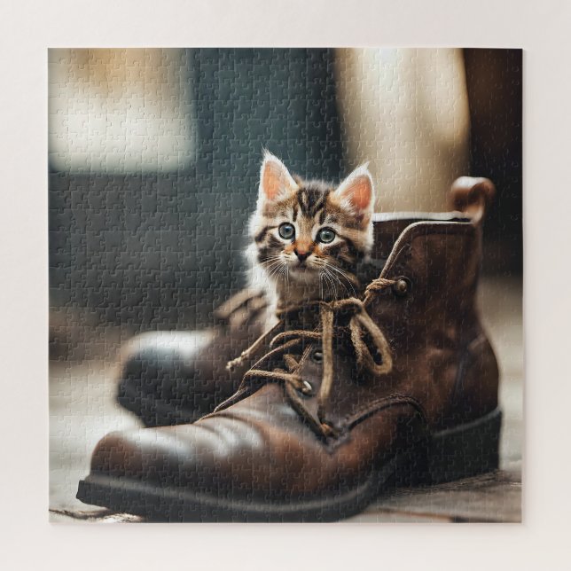 Calico Kitten in Old Shoe (Vertikal)