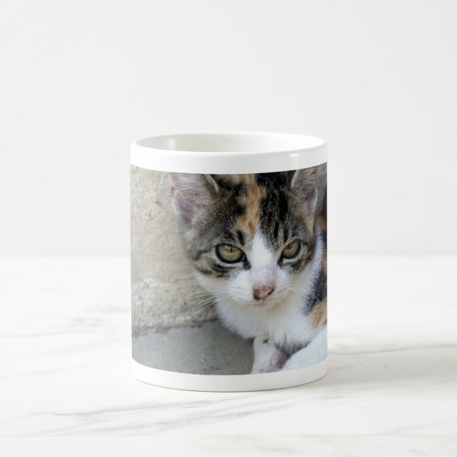Calico Kitten Kaffeetasse (Mittel)