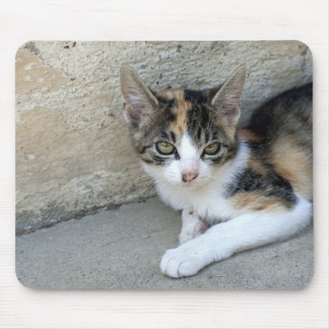 Calico Kitten Mousepad (Vorne)