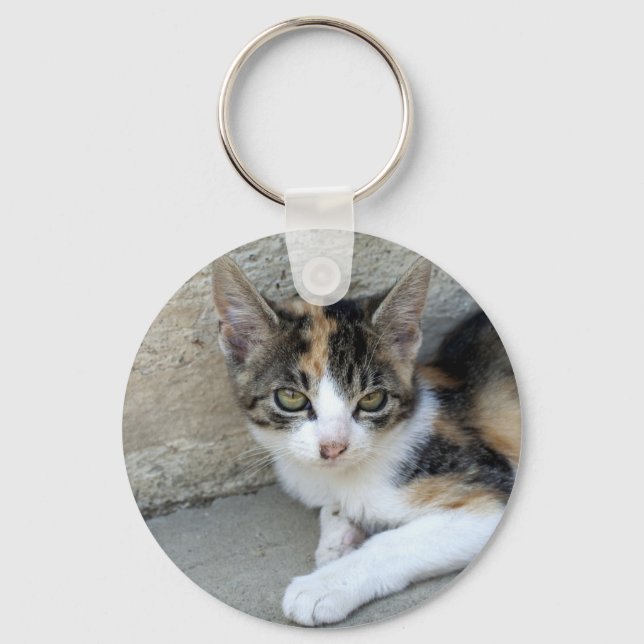 Calico Kitten Schlüsselanhänger (Vorderseite)
