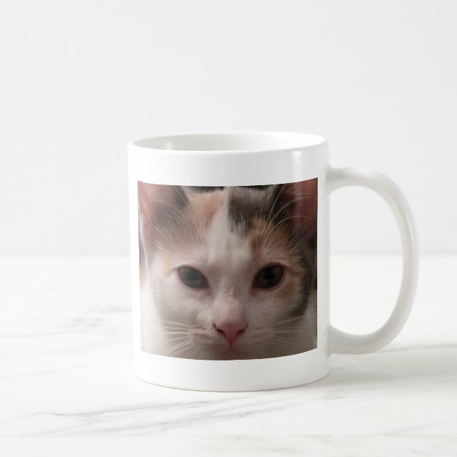 Calico Kitten Tasse (Rechts)
