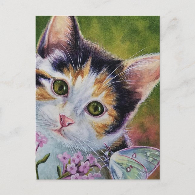 Calico Kitten und Sulfur Butterfly Wasserfarbe Kun Postkarte (Vorderseite)