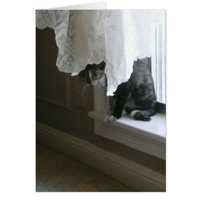 Calico Kitty sur la pilule de fenêtre, peek-a-boo! (Devant)
