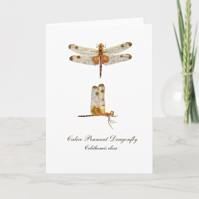 Calico Pennant Dragonfly Grußkarte Karte (Vorderseite)