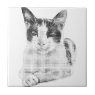 Calico Pop Halftone Fliese