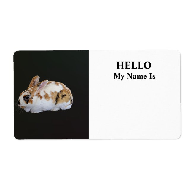Calico Rabbit (Vorne)