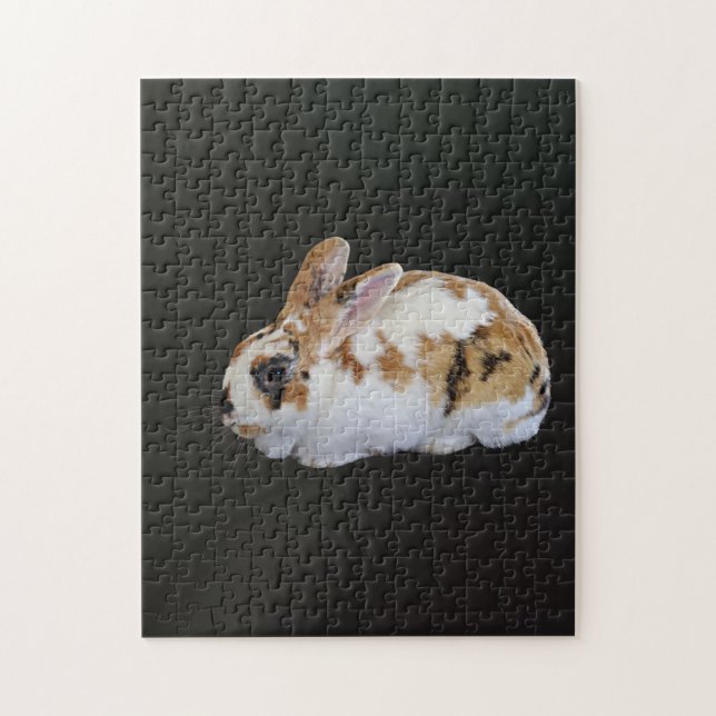 Calico Rabbit (Vertikal)