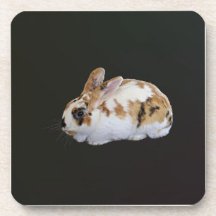 Calico Rabbit Getränkeuntersetzer