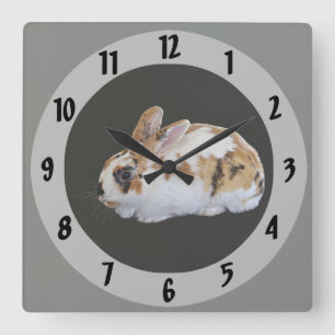 Calico Rabbit Quadratische Wanduhr