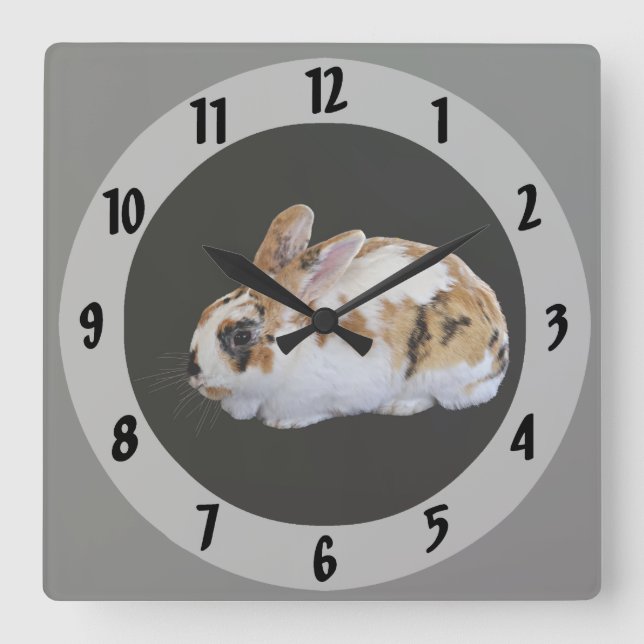 Calico Rabbit Quadratische Wanduhr (Vorderseite)