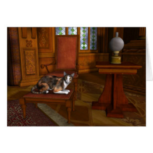 Calico reposant