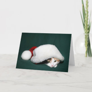 Calico Santa Feiertagskarte
