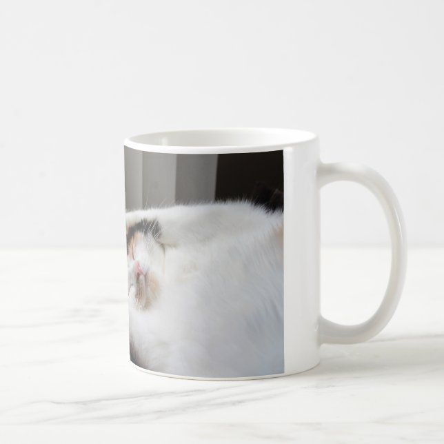 Calico schläft in der Tasse (Rechts)