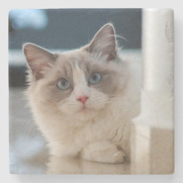 Calico Steinuntersetzer