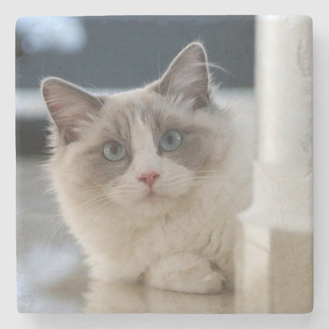 Calico Steinuntersetzer (Vorderseite)