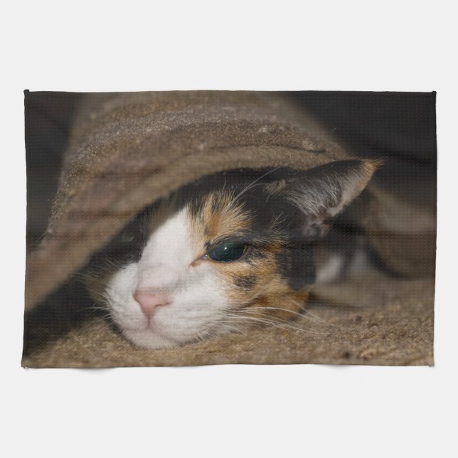 Calico Taco Geschirrtuch (Horizontal)