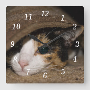 Calico Taco Quadratische Wanduhr